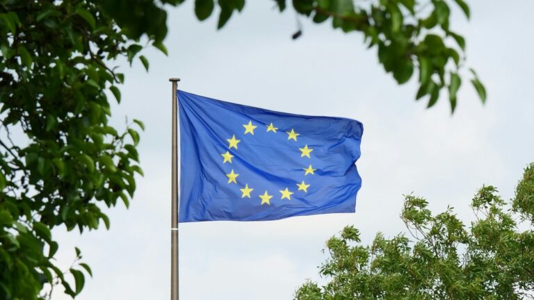 Blaue EU-Fahne mit gelben Sternen weht vor grünem Hintergrund.
