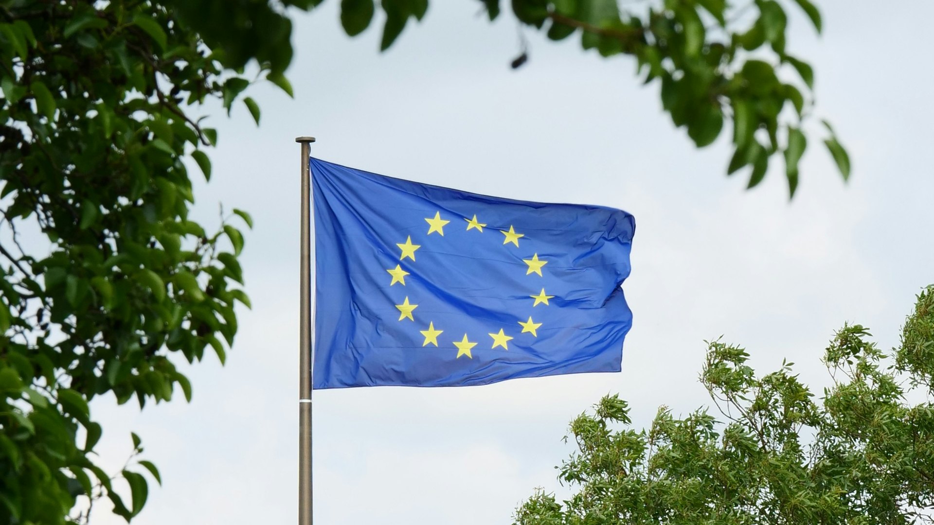 A blue EU flag with yellow stars flying against a green background.